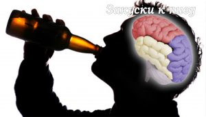 Пиво стимулятор мозга